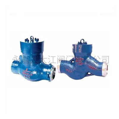 H61Y-P54-100V電站止回閥